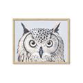 Picture of Close-up The Owl Head _GroupedProduct_Rectangle_Landscape_Framed_Matted_