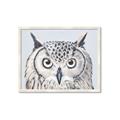 Picture of Close-up The Owl Head _GroupedProduct_Rectangle_Landscape_Framed_Matted_