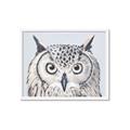 Picture of Close-up The Owl Head _GroupedProduct_Rectangle_Landscape_Framed_Matted_