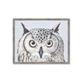 Picture of Close-up The Owl Head _GroupedProduct_Rectangle_Landscape_Framed_Matted_