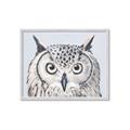 Picture of Close-up The Owl Head _GroupedProduct_Rectangle_Landscape_Framed_Matted_