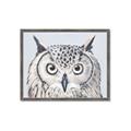 Picture of Close-up The Owl Head _GroupedProduct_Rectangle_Landscape_Framed_Matted_