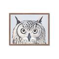 Picture of Close-up The Owl Head _GroupedProduct_Rectangle_Landscape_Framed_Matted_