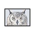 Picture of Close-up The Owl Head _GroupedProduct_Rectangle_Landscape_Framed_Matted_