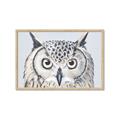 Picture of Close-up The Owl Head _GroupedProduct_Rectangle_Landscape_Framed_Matted_