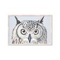 Picture of Close-up The Owl Head _GroupedProduct_Rectangle_Landscape_Framed_Matted_