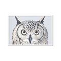 Picture of Close-up The Owl Head _GroupedProduct_Rectangle_Landscape_Framed_Matted_