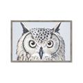 Picture of Close-up The Owl Head _GroupedProduct_Rectangle_Landscape_Framed_Matted_