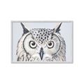 Picture of Close-up The Owl Head _GroupedProduct_Rectangle_Landscape_Framed_Matted_