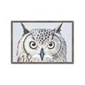 Picture of Close-up The Owl Head _GroupedProduct_Rectangle_Landscape_Framed_Matted_