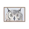 Picture of Close-up The Owl Head _GroupedProduct_Rectangle_Landscape_Framed_Matted_