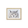 Picture of Close-up The Owl Head _GroupedProduct_Rectangle_Landscape_Framed_Matted_