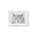 Picture of Close-up The Owl Head _GroupedProduct_Rectangle_Landscape_Framed_Matted_