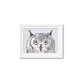 Picture of Close-up The Owl Head _GroupedProduct_Rectangle_Landscape_Framed_Matted_