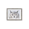 Picture of Close-up The Owl Head _GroupedProduct_Rectangle_Landscape_Framed_Matted_