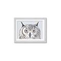 Picture of Close-up The Owl Head _GroupedProduct_Rectangle_Landscape_Framed_Matted_