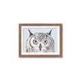 Picture of Close-up The Owl Head _GroupedProduct_Rectangle_Landscape_Framed_Matted_