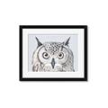 Picture of Close-up The Owl Head _GroupedProduct_Rectangle_Landscape_Framed_Matted_