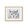 Picture of Close-up The Owl Head _GroupedProduct_Rectangle_Landscape_Framed_Matted_