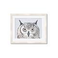 Picture of Close-up The Owl Head _GroupedProduct_Rectangle_Landscape_Framed_Matted_