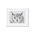 Picture of Close-up The Owl Head _GroupedProduct_Rectangle_Landscape_Framed_Matted_