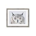Picture of Close-up The Owl Head _GroupedProduct_Rectangle_Landscape_Framed_Matted_