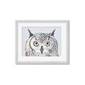 Picture of Close-up The Owl Head _GroupedProduct_Rectangle_Landscape_Framed_Matted_