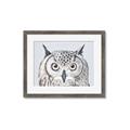 Picture of Close-up The Owl Head _GroupedProduct_Rectangle_Landscape_Framed_Matted_