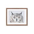 Picture of Close-up The Owl Head _GroupedProduct_Rectangle_Landscape_Framed_Matted_