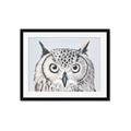Picture of Close-up The Owl Head _GroupedProduct_Rectangle_Landscape_Framed_Matted_