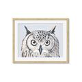 Picture of Close-up The Owl Head _GroupedProduct_Rectangle_Landscape_Framed_Matted_