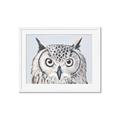 Picture of Close-up The Owl Head _GroupedProduct_Rectangle_Landscape_Framed_Matted_