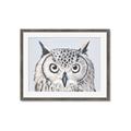 Picture of Close-up The Owl Head _GroupedProduct_Rectangle_Landscape_Framed_Matted_