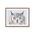 Picture of Close-up The Owl Head _GroupedProduct_Rectangle_Landscape_Framed_Matted_