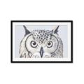 Picture of Close-up The Owl Head _GroupedProduct_Rectangle_Landscape_Framed_Matted_