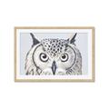 Picture of Close-up The Owl Head _GroupedProduct_Rectangle_Landscape_Framed_Matted_