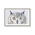Picture of Close-up The Owl Head _GroupedProduct_Rectangle_Landscape_Framed_Matted_