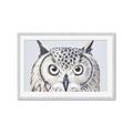 Picture of Close-up The Owl Head _GroupedProduct_Rectangle_Landscape_Framed_Matted_