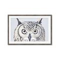 Picture of Close-up The Owl Head _GroupedProduct_Rectangle_Landscape_Framed_Matted_