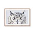 Picture of Close-up The Owl Head _GroupedProduct_Rectangle_Landscape_Framed_Matted_