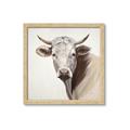Picture of Neutral Cow _GroupedProduct_Square_Framed_Matted_