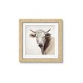 Picture of Neutral Cow _GroupedProduct_Square_Framed_Matted_
