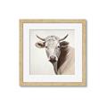 Picture of Neutral Cow _GroupedProduct_Square_Framed_Matted_