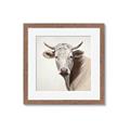 Picture of Neutral Cow _GroupedProduct_Square_Framed_Matted_