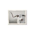 Picture of Cow with Big Horn _GroupedProduct_Rectangle_Landscape_Framed_Matted_