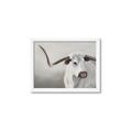 Picture of Cow with Big Horn _GroupedProduct_Rectangle_Landscape_Framed_Matted_