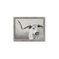 Picture of Cow with Big Horn _GroupedProduct_Rectangle_Landscape_Framed_Matted_
