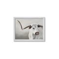 Picture of Cow with Big Horn _GroupedProduct_Rectangle_Landscape_Framed_Matted_