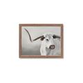 Picture of Cow with Big Horn _GroupedProduct_Rectangle_Landscape_Framed_Matted_