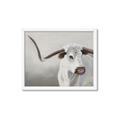 Picture of Cow with Big Horn _GroupedProduct_Rectangle_Landscape_Framed_Matted_